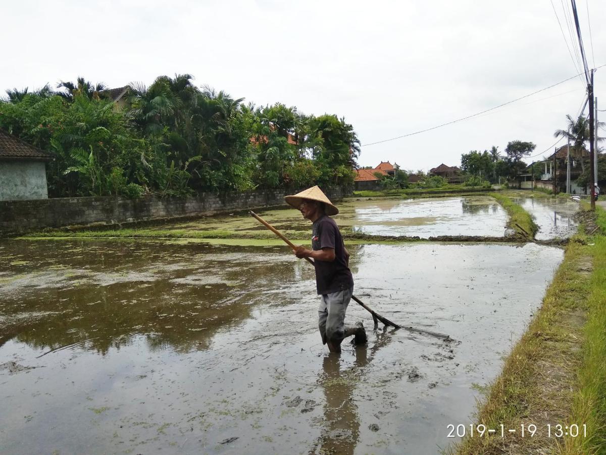 Bhuana Alit 2 Ubud Esterno foto