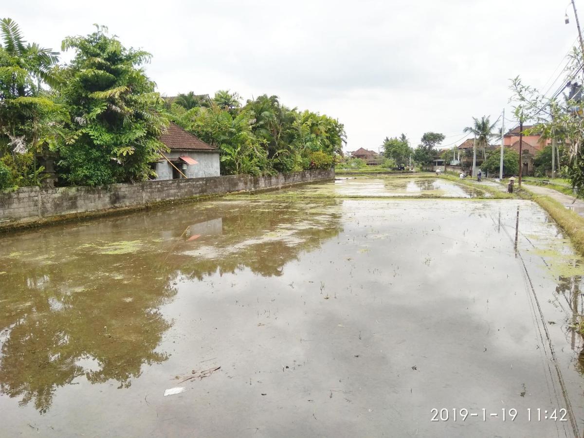 Bhuana Alit 2 Ubud Esterno foto