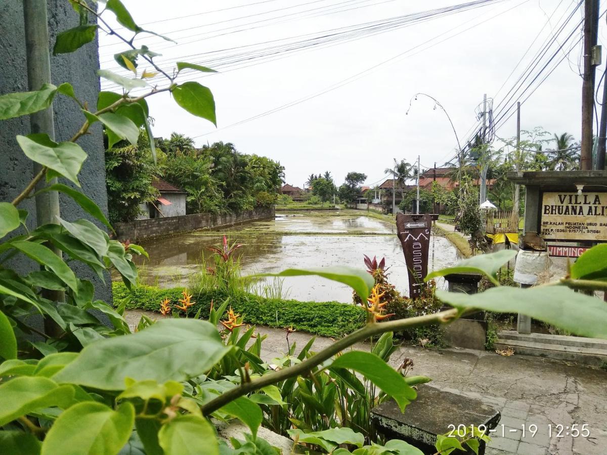 Bhuana Alit 2 Ubud Esterno foto