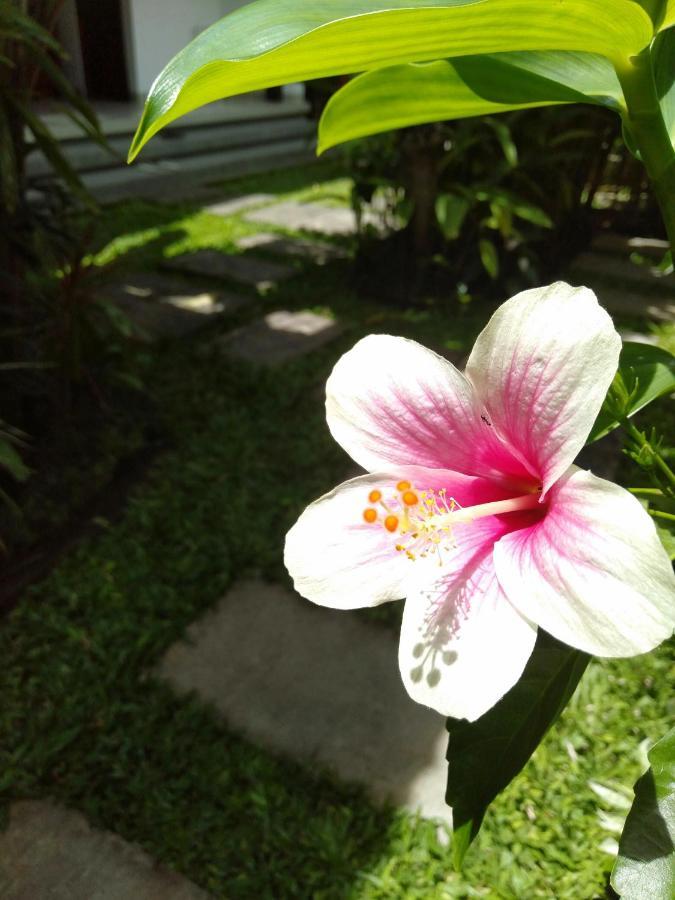 Bhuana Alit 2 Ubud Esterno foto